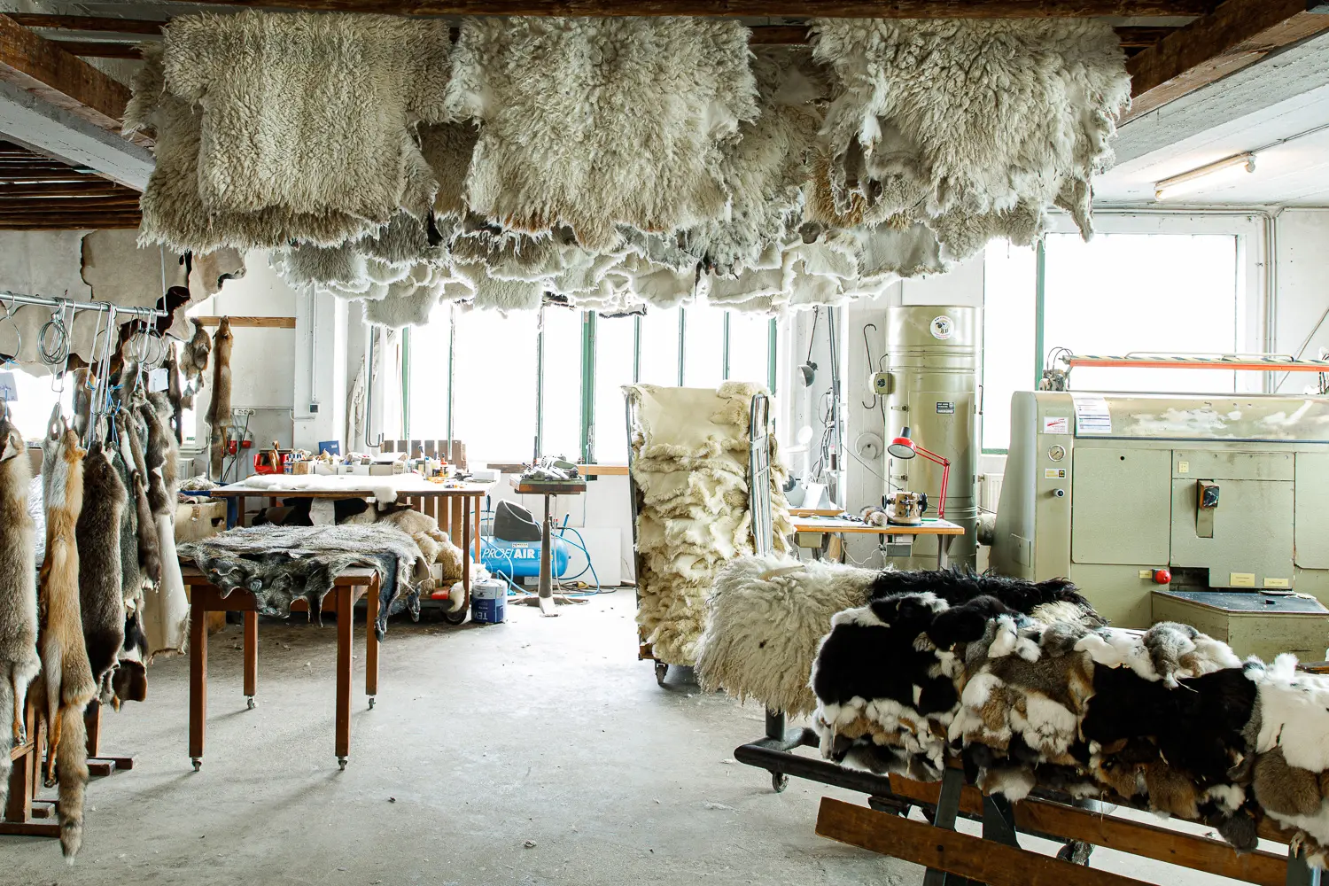 Felle in der Werkstatt der Gerberei Rudolf Artner in Eferding